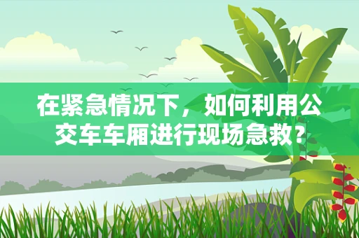 在紧急情况下，如何利用公交车车厢进行现场急救？