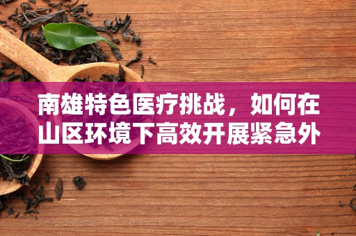 南雄特色医疗挑战，如何在山区环境下高效开展紧急外科手术？