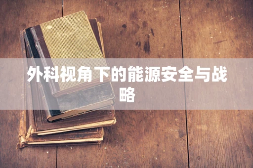 外科视角下的能源安全与战略