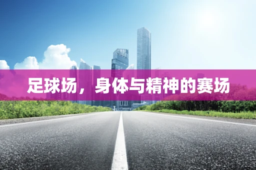 足球场，身体与精神的赛场