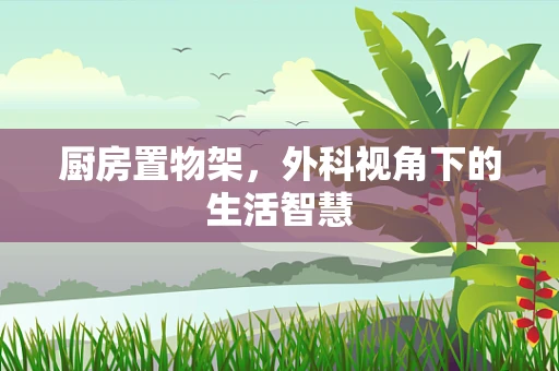 厨房置物架，外科视角下的生活智慧
