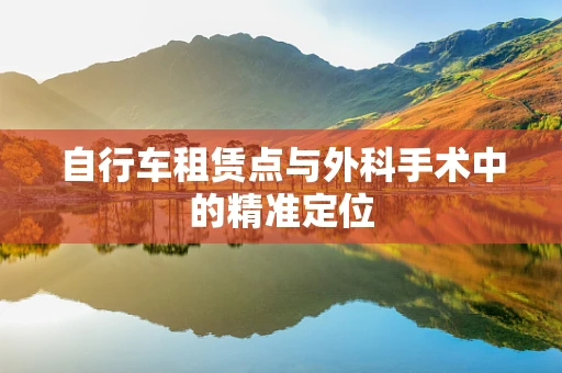 自行车租赁点与外科手术中的精准定位