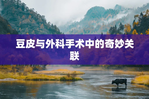 豆皮与外科手术中的奇妙关联