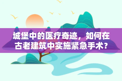 城堡中的医疗奇迹，如何在古老建筑中实施紧急手术？