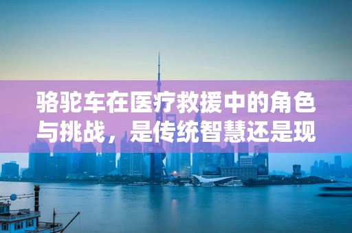 骆驼车在医疗救援中的角色与挑战，是传统智慧还是现代必需？
