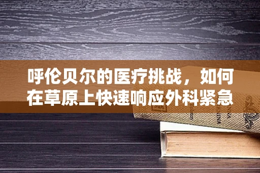呼伦贝尔的医疗挑战，如何在草原上快速响应外科紧急情况？