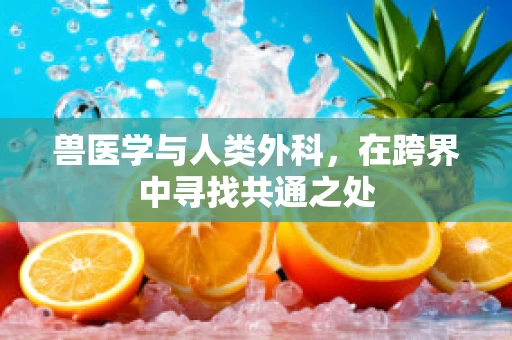 兽医学与人类外科，在跨界中寻找共通之处
