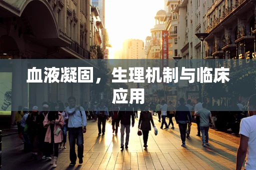 血液凝固，生理机制与临床应用