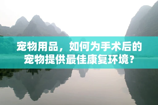 宠物用品，如何为手术后的宠物提供最佳康复环境？