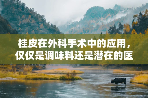 桂皮在外科手术中的应用，仅仅是调味料还是潜在的医疗助手？