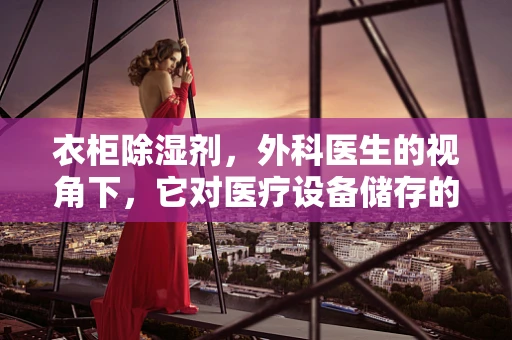 衣柜除湿剂，外科医生的视角下，它对医疗设备储存的潜在影响？