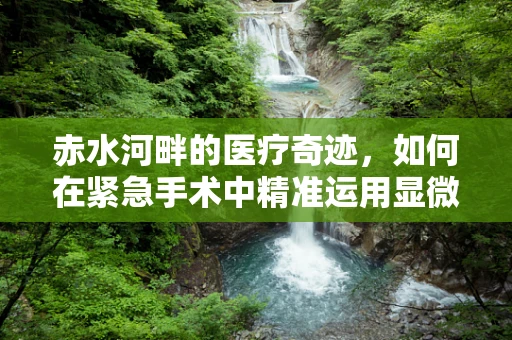 赤水河畔的医疗奇迹，如何在紧急手术中精准运用显微技术？