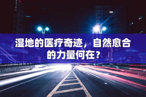 湿地的医疗奇迹，自然愈合的力量何在？