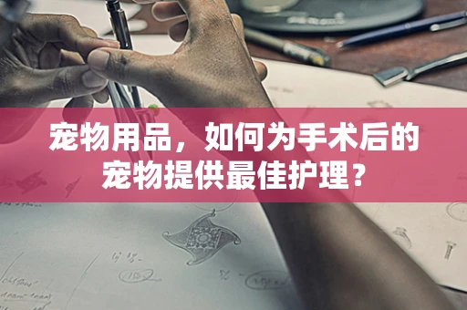宠物用品，如何为手术后的宠物提供最佳护理？