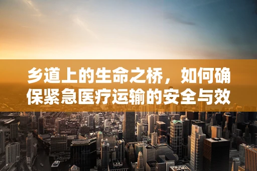 乡道上的生命之桥，如何确保紧急医疗运输的安全与效率？