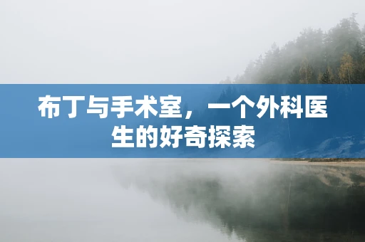 布丁与手术室，一个外科医生的好奇探索