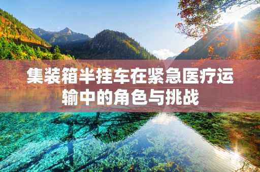 集装箱半挂车在紧急医疗运输中的角色与挑战