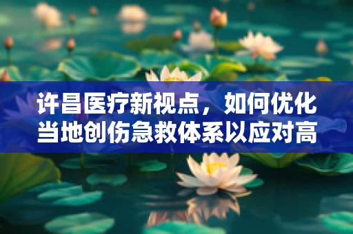 许昌医疗新视点，如何优化当地创伤急救体系以应对高发交通事故？