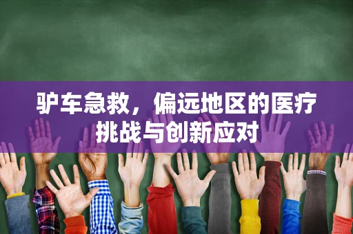 驴车急救，偏远地区的医疗挑战与创新应对