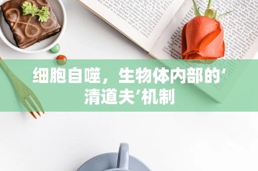 细胞自噬，生物体内部的‘清道夫’机制
