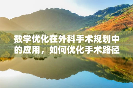 数学优化在外科手术规划中的应用，如何优化手术路径以减少患者风险？