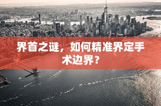 界首之谜，如何精准界定手术边界？