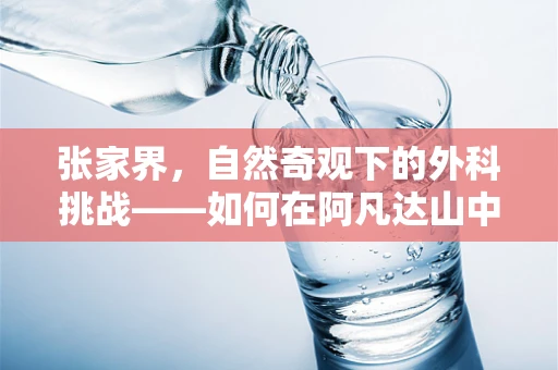 张家界，自然奇观下的外科挑战——如何在阿凡达山中实施紧急救援？