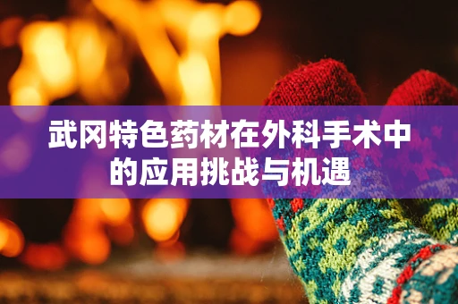 武冈特色药材在外科手术中的应用挑战与机遇