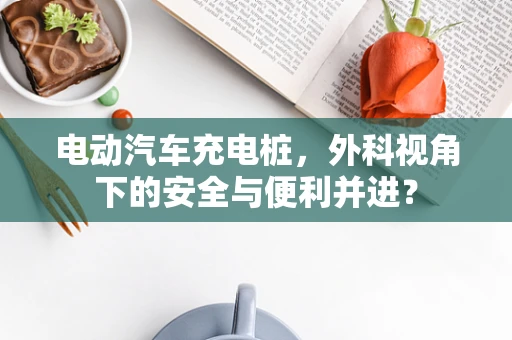 电动汽车充电桩，外科视角下的安全与便利并进？