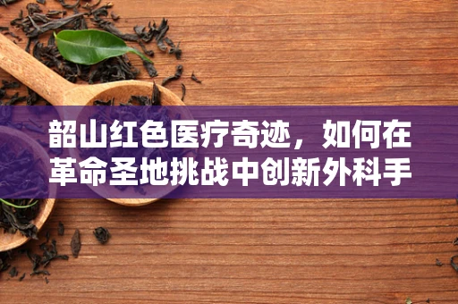 韶山红色医疗奇迹，如何在革命圣地挑战中创新外科手术？