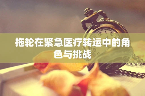 拖轮在紧急医疗转运中的角色与挑战