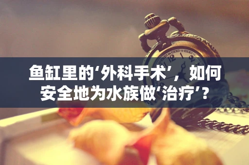 鱼缸里的‘外科手术’，如何安全地为水族做‘治疗’？