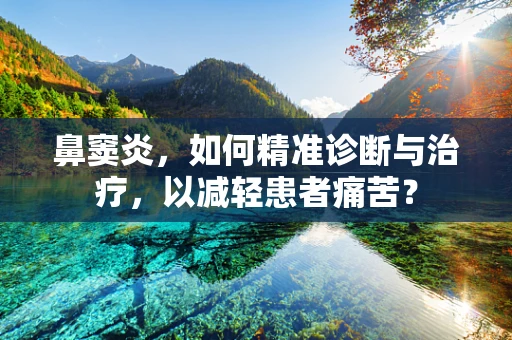 鼻窦炎，如何精准诊断与治疗，以减轻患者痛苦？