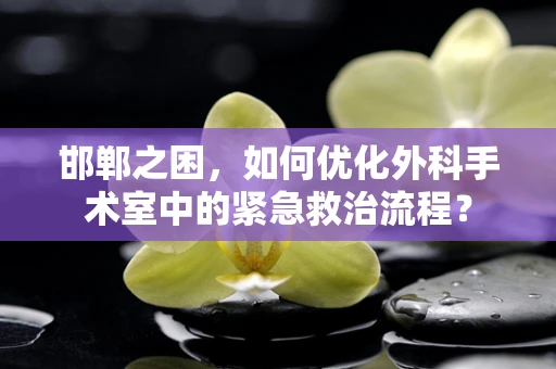 邯郸之困，如何优化外科手术室中的紧急救治流程？