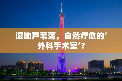 湿地芦苇荡，自然疗愈的‘外科手术室’？