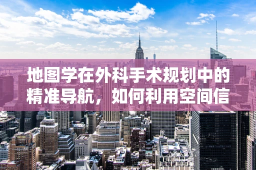 地图学在外科手术规划中的精准导航，如何利用空间信息提升手术成功率？