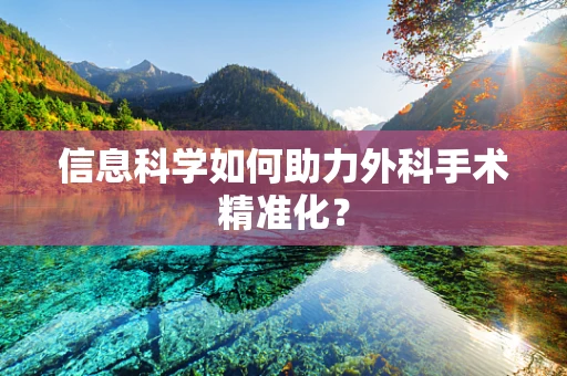 信息科学如何助力外科手术精准化？