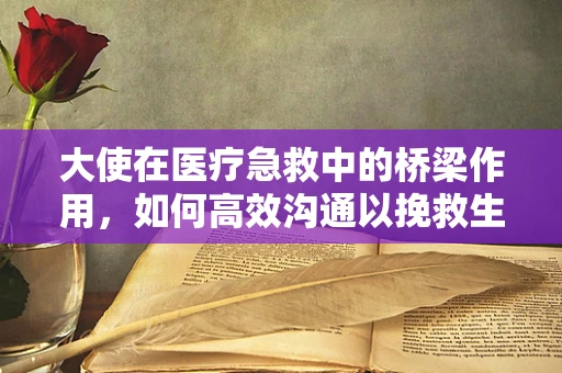 大使在医疗急救中的桥梁作用，如何高效沟通以挽救生命？