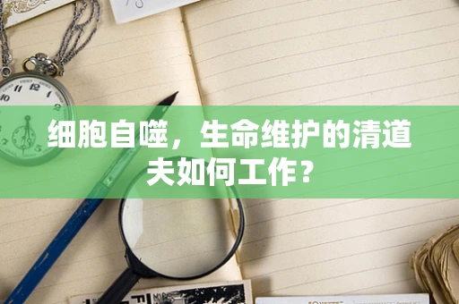 细胞自噬，生命维护的清道夫如何工作？