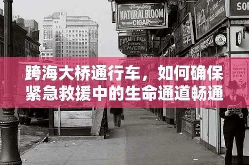 跨海大桥通行车，如何确保紧急救援中的生命通道畅通无阻？