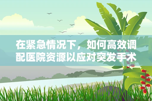 在紧急情况下，如何高效调配医院资源以应对突发手术需求？