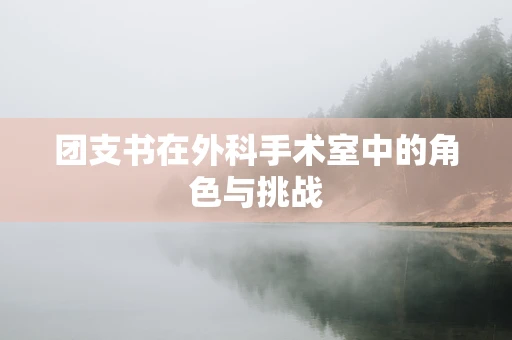团支书在外科手术室中的角色与挑战