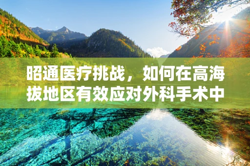 昭通医疗挑战，如何在高海拔地区有效应对外科手术中的低氧环境？