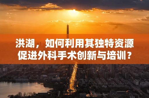 洪湖，如何利用其独特资源促进外科手术创新与培训？