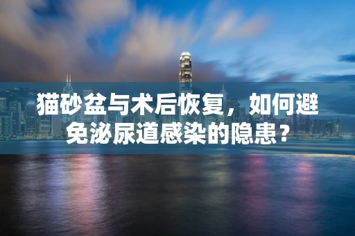 猫砂盆与术后恢复，如何避免泌尿道感染的隐患？
