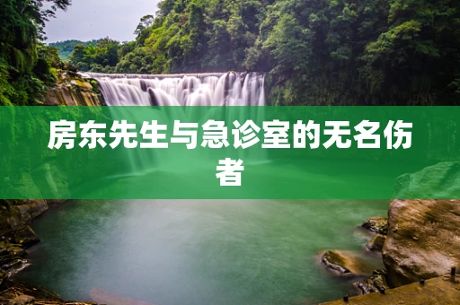 房东先生与急诊室的无名伤者