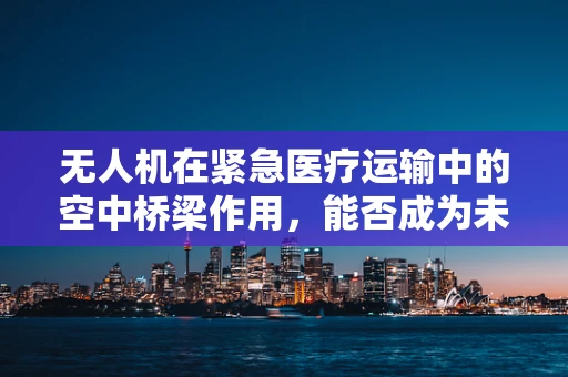 无人机在紧急医疗运输中的空中桥梁作用，能否成为未来医疗救援的超级英雄？