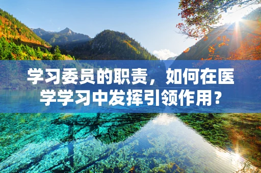 学习委员的职责，如何在医学学习中发挥引领作用？