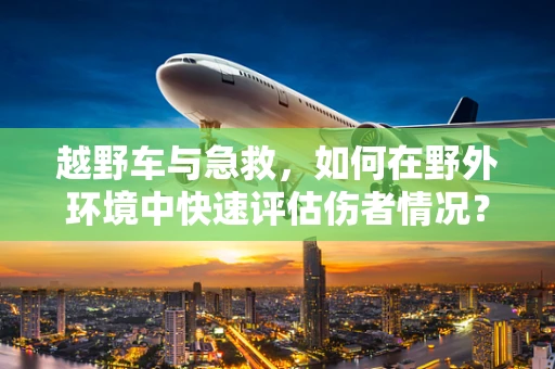 越野车与急救，如何在野外环境中快速评估伤者情况？