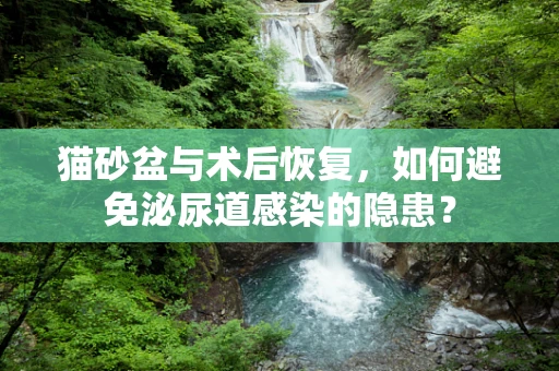 猫砂盆与术后恢复，如何避免泌尿道感染的隐患？